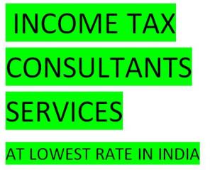 income tax consultant