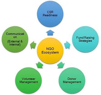 NGO Registration Consultants Services