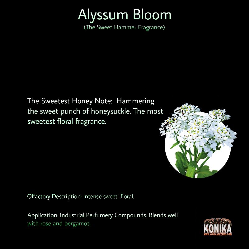Alyssum Bloom Fragrance