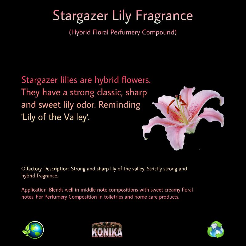 Stargazer Lily Fragrance
