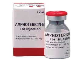 Amphotericin B Injection - Century Pharmaceuticals Ltd., Vadodara, Gujarat