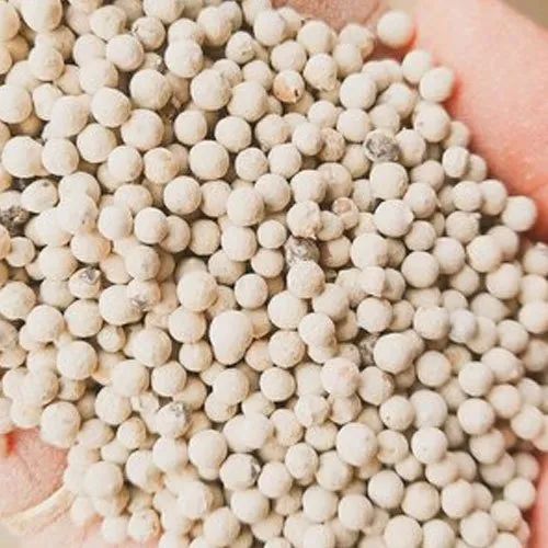 White pepper seeds, for Cooking, Certification : FSSAI Certified