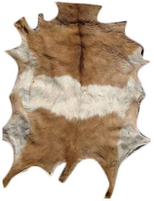 Raw Goat Hides, for Industrial