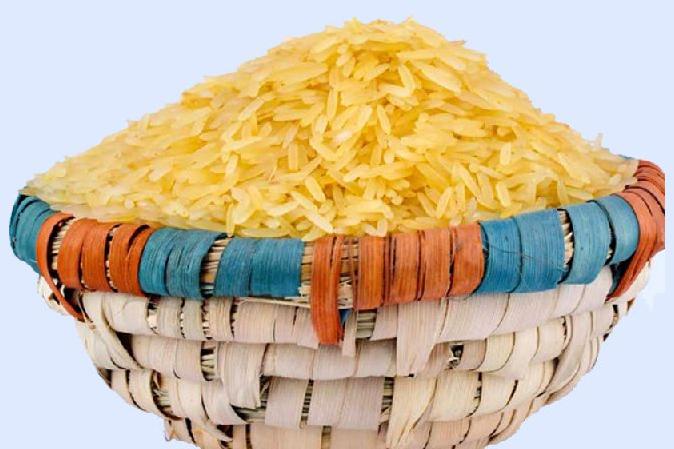 Organic Golden Basmati Rice, for High In Protein, Variety : Short Grain