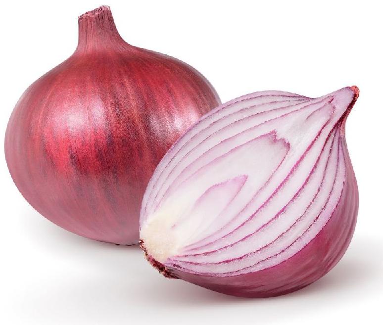 Fresh red onion, Packaging Type : Gunny Bag