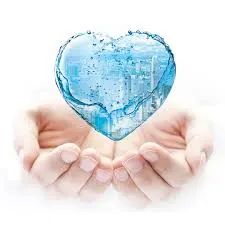 Central Ground Water Authority Services