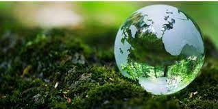 Environmental Services