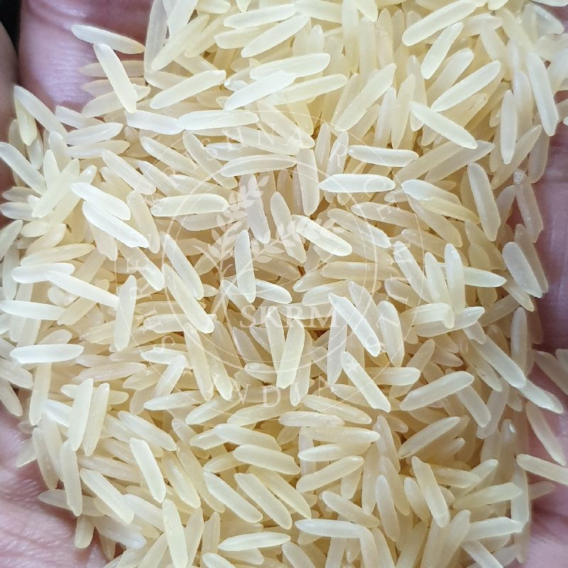 Sugandha Golden Sella Basmati Rice, for Cooking, Human Consumption, Packaging Size : 50Kg
