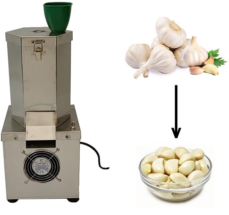 https://img1.exportersindia.com/product_images/bc-full/2023/4/10013523/garlic-peeling-machine-1682743377-6386346.jpeg