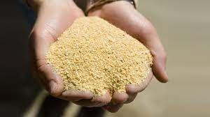 soybean meal