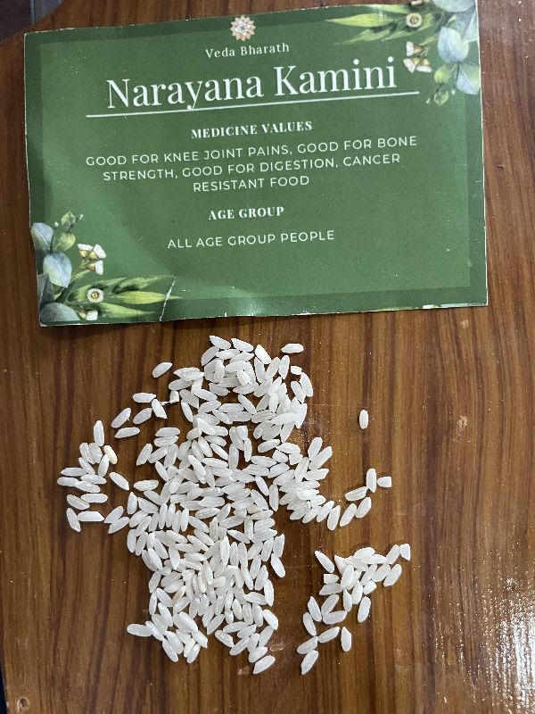 Organic narayana kamini paddy rice, for Cooking, Food, Human Consumption, Style : Dried, Fresh