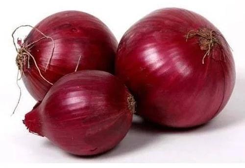 Fresh red onion, Packaging Type : Gunny Bag