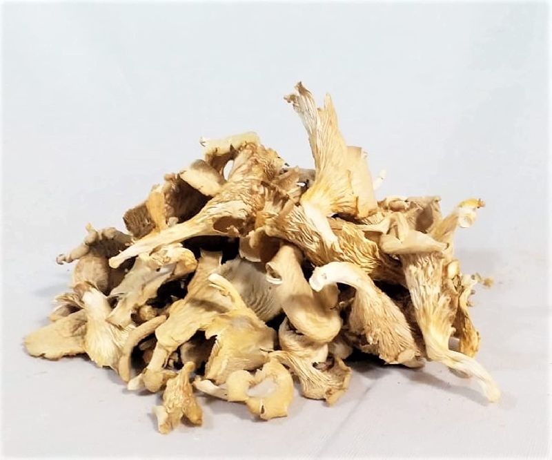 dried oyster mushroom