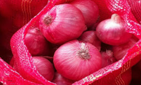 fresh red onion