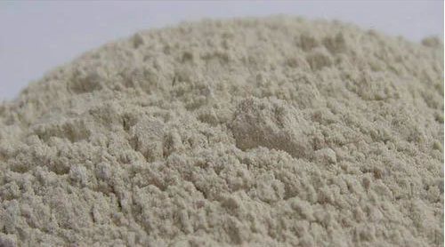 Dolomite Powder for Fertilizer, Packaging Type : Plastic Bag