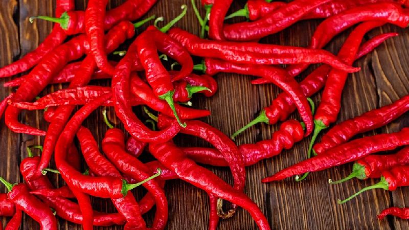 Organic Fresh Red Chilli, Style : Natural, Taste : Spicy - Mas Exports ...