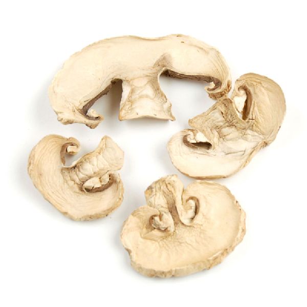 Organic Dried Button Mushroom, Shelf Life : 3 Months