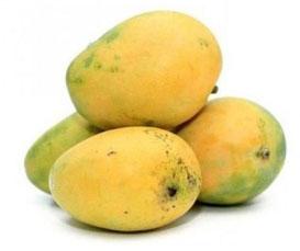 Organic Fresh Banganapalli Mangoes, for Direct Consumption, Food Processing, Juice Making, Packaging Type : Corrugated Box