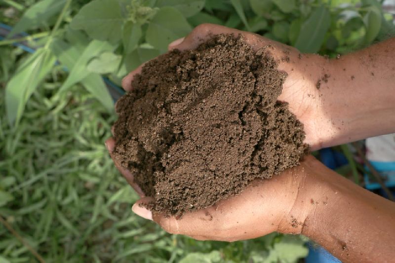 organic manure