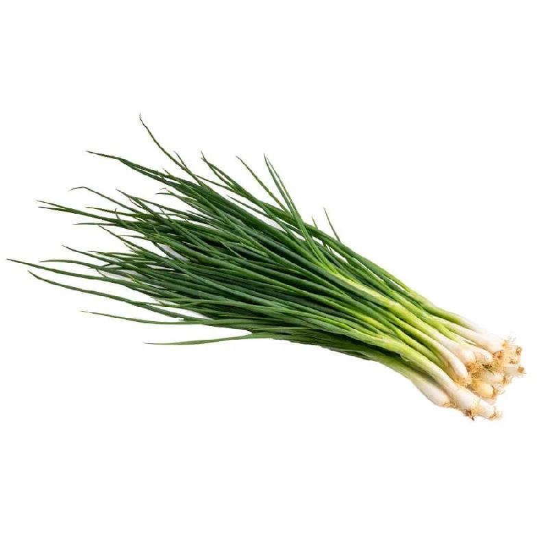Natural Spring Onion, for Cooking, Packaging Size : 25kg, 30kg