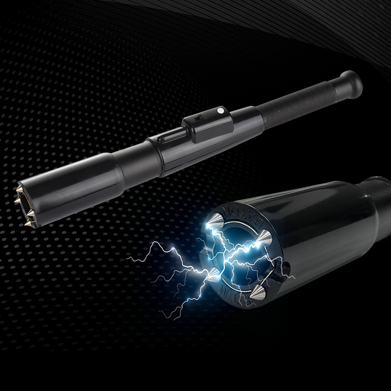 Flashlight Stun Gun