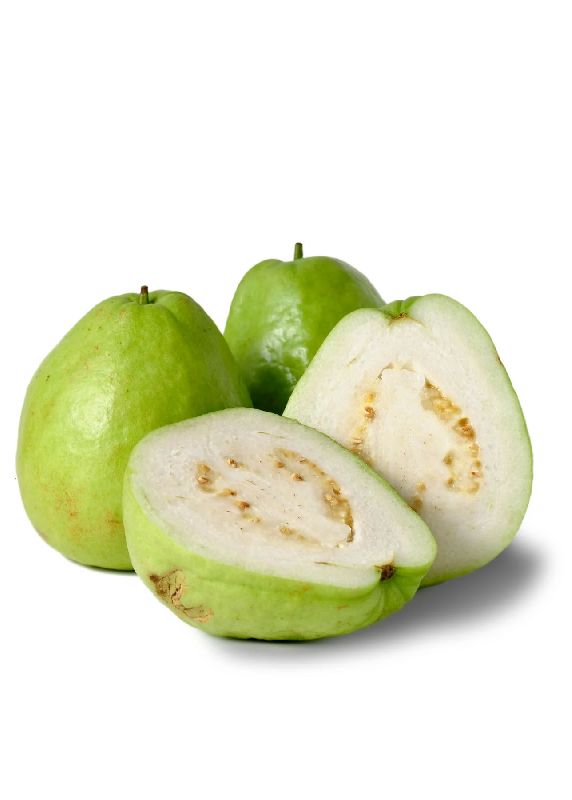 Oval Natural Fresh Guava, for Cooking, Cosmetics, Human Consumption, Color : Green