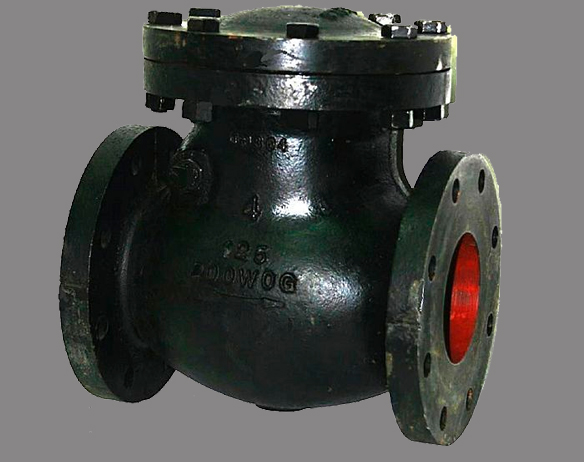 CARBON STEEL CHECK VALVES