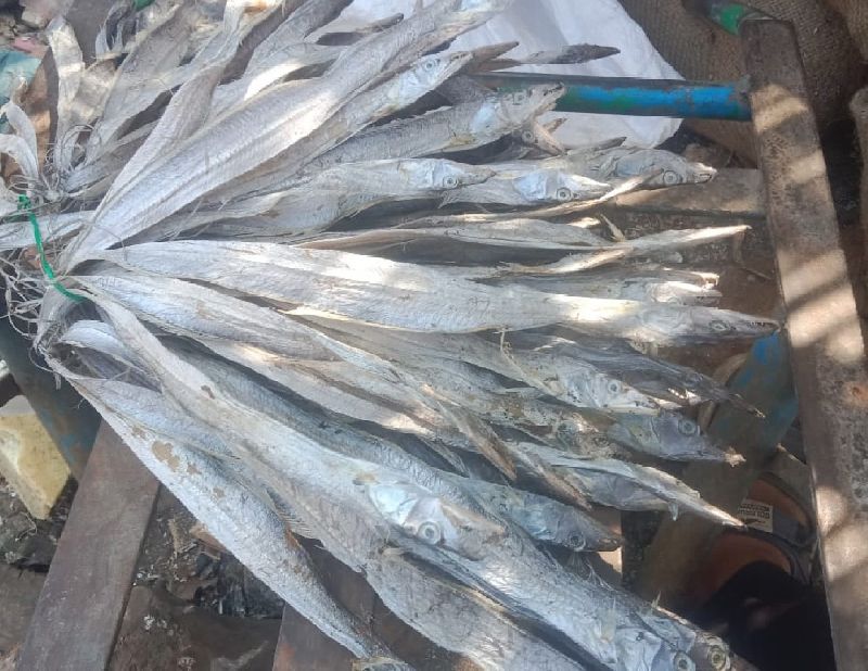 Dried Ribbon Fish Patel Grinding Industries Private Limited, Mumbai