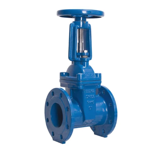 Stainless Steel Cast Iron Gate Valve, for POWER, AGRO, REFINERIES ...