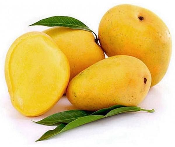 alphonso mango