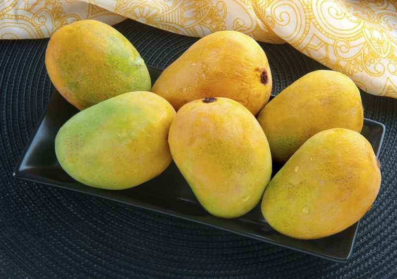 SO HAM Langra Mango, for Food, Taste : Sweet