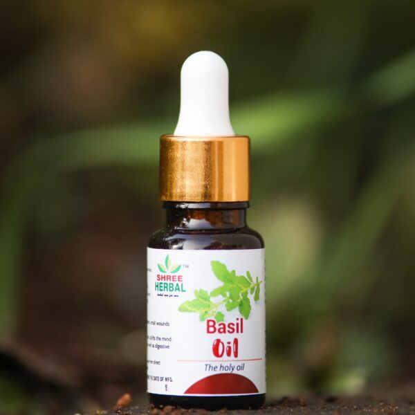 10ml SHREE Basil Oil, for Making Medicine, Packaging Type : Glass Bottles
