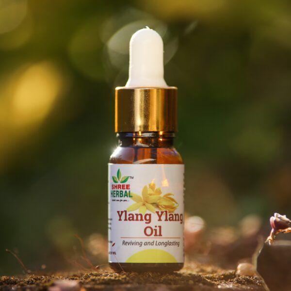 10ml SHREE Ylang Ylang Oil