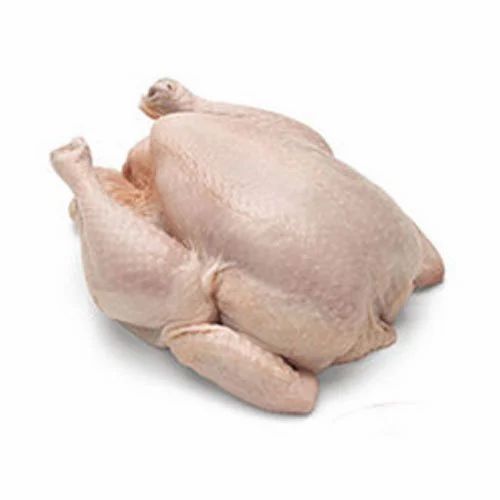Fresh Broiler Chicken with Skin