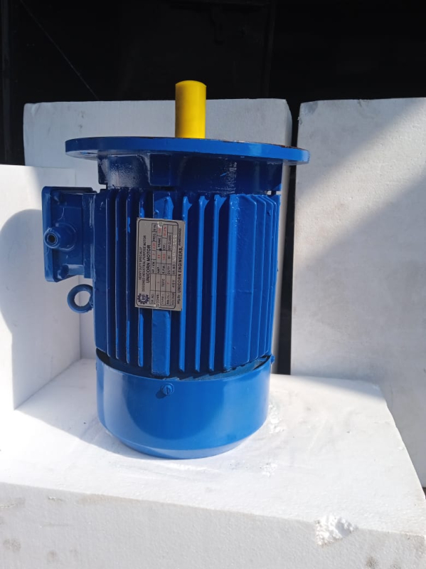 Three Phase Ac Motors, Color Blue M Shresth India, Jamshedpur