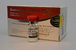 Genotropin somatropin injection, Purity : 99