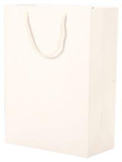 Plain White Paper Bag