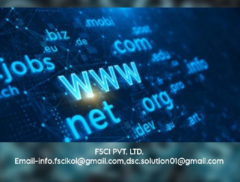 Domain Name Registration Services