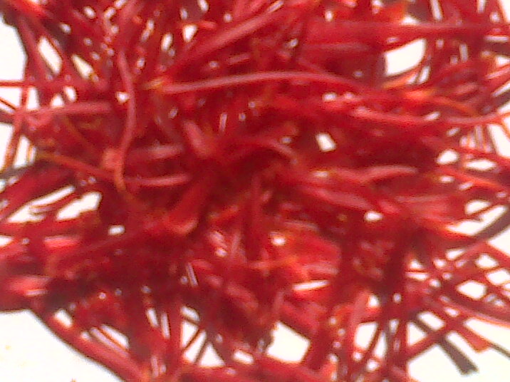 Indian Saffron