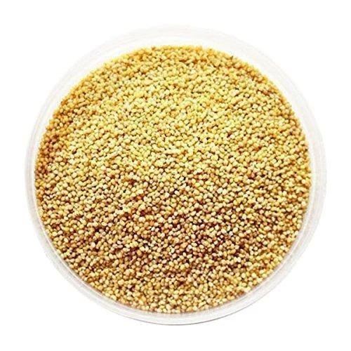 Natural Foxtail Millet Seeds, for Cooking, Cattle Feed, Packaging Type