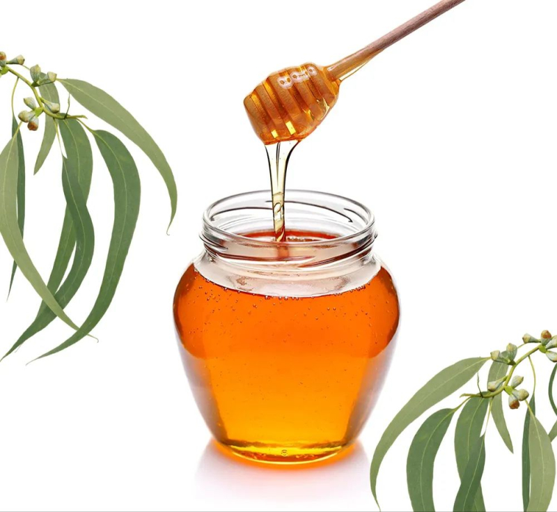 Eucalyptus Honey, for Personal, Clinical, Cosmetics, Foods, Gifting