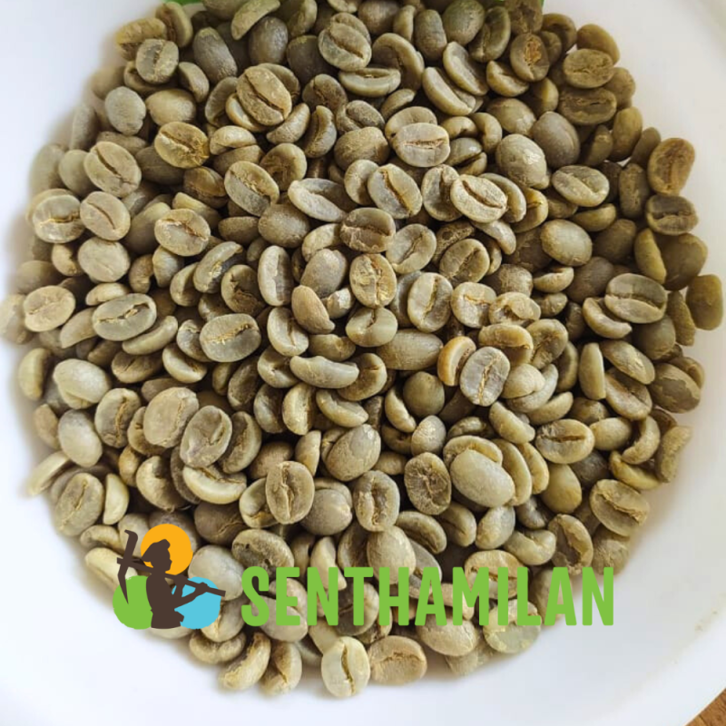 Senthamilan Common Arabica Green Coffee Bean, Packaging Type Packet