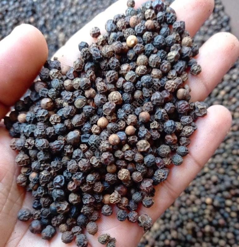 Black Pepper Seeds, Type Natural at Best Price in Anantapur RYUSHIVIKRAM PRIVATE LIMITED