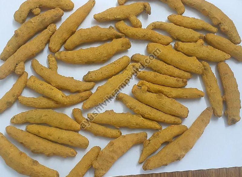 Polished Common Turmeric Fingers For Cooking Spices Food Medicine