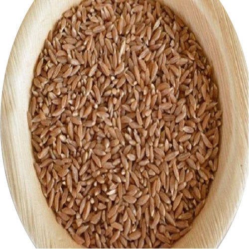 Organic wheat, for Cooking, Certification : FSSAI