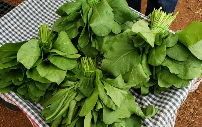 Natural Fresh Spinach, for Cooking, Packaging Size 1Kg, 2Kg Delight