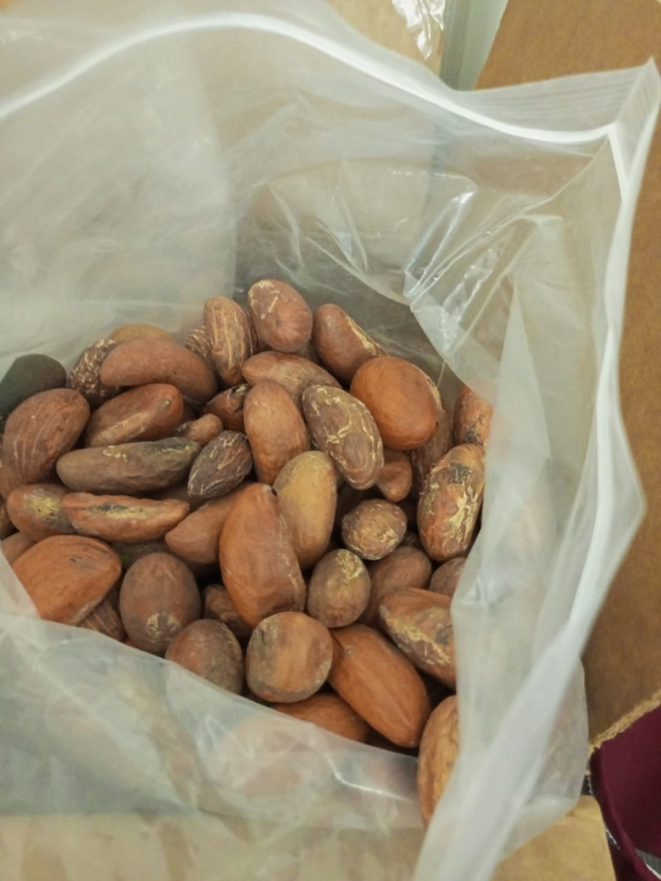 Exporter of Edible Nuts from Tirupati, Andhra Pradesh by HBR EXPORT AND