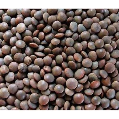 Common Black Masoor Dal, for Cooking, Specialities : Good Quality at Rs ...