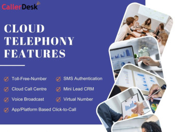 Cloud Telephony Service