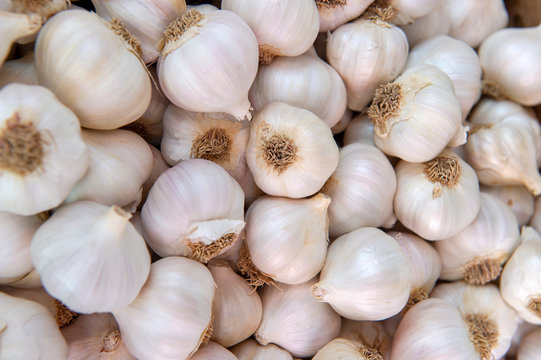 Garlic, for Cooking